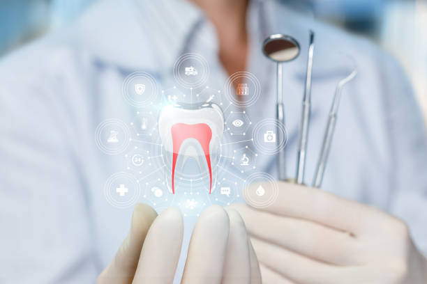 Reliable Williamsburg, FL Holistic Dental Care Services Solutions